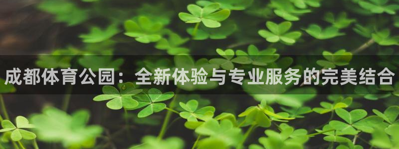 J9官方正版app神州：成都体育公园：全新体验与专业