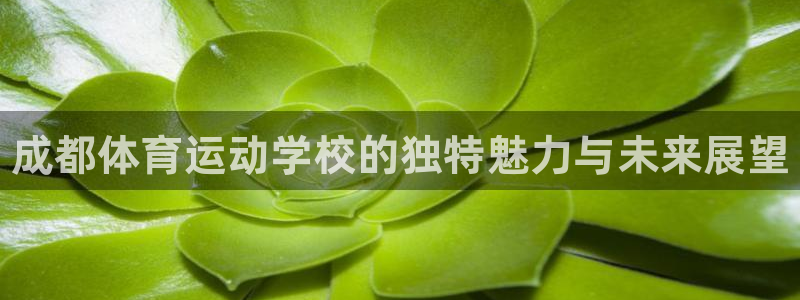 J9官网下载平台注册：成都体育运动学校的独特魅力与未