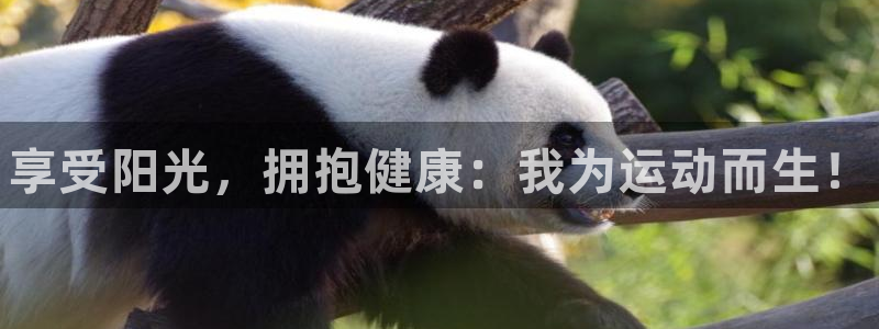 J9官网下载招商电话号码查询：享受阳光，拥抱健康：我