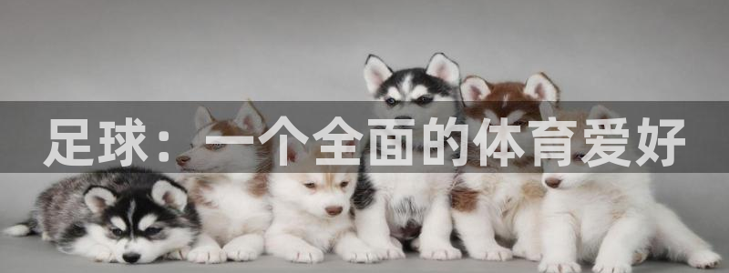 J9官方平台体育：足球：一个全面的体育爱好