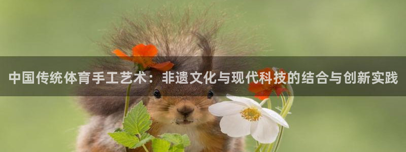 J9官网下载招商电话是多少啊：中国传统体育手工艺术：