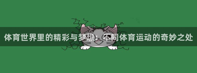 J9官方正版app娱乐下载：体育世界里的精彩与梦想：