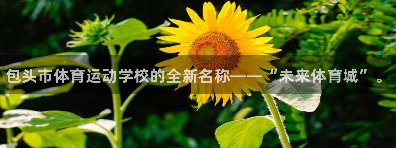 J9官网下载平台注册要钱吗：包头市体育运动学校的全新