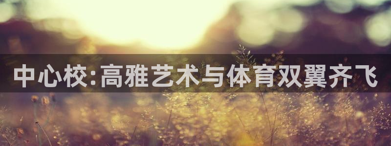 J9官方正版app新能源：中心校:高雅艺术与体育双翼