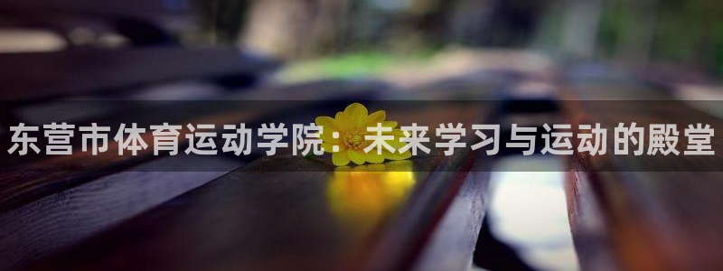 J9官网下载软件：东营市体育运动学院：未来学习与运动的殿堂