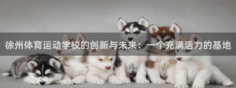 J9官网下载平台注册流程图：徐州体育运动学校的创新与未来：一