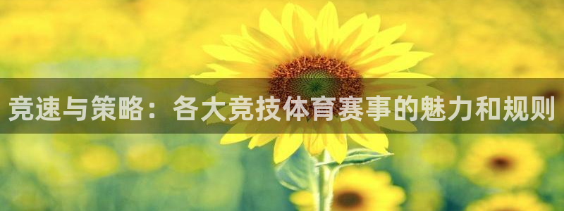 J9官方正版app五金厂：竞速与策略：各大竞技体育赛事的魅力