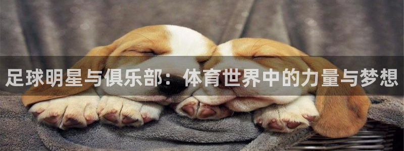 J9官方正版app集团E.ON：足球明星与俱乐部：体育世界中