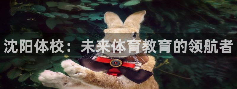 J9官方正版app神州：沈阳体校：未来体育教育的领航