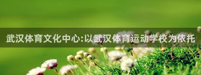 J9官网下载招商电话是多少号码：武汉体育文化中心:以