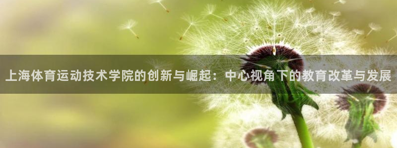 J9官方正版app集团logo：上海体育运动技术学院
