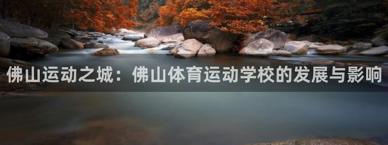 J9官网下载平台注册流程图：佛山运动之城：佛山体育运