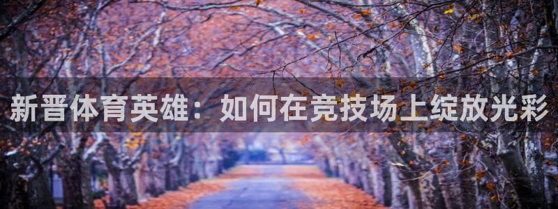 J9官网下载：新晋体育英雄：如何在竞技场上绽放光彩