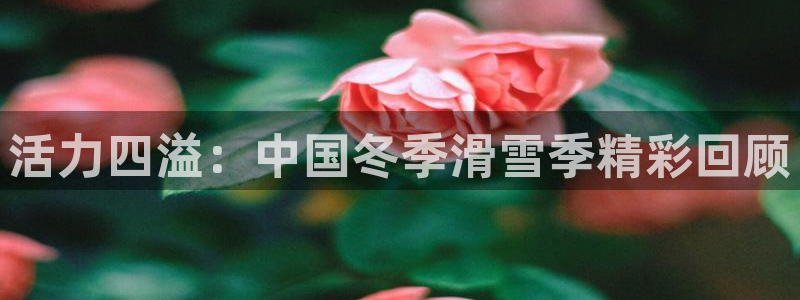 J9官方集团官网：活力四溢：中国冬季滑雪季精彩回顾