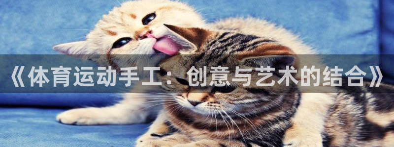 J9官方正版app代理
