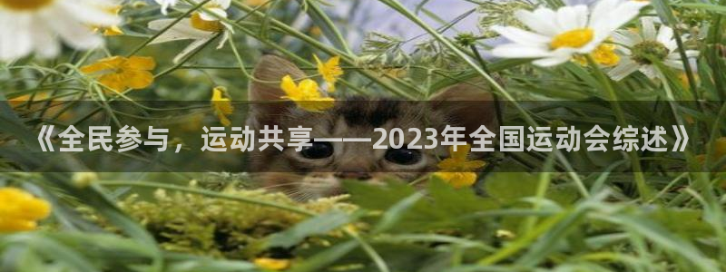 J9官网下载招商电话地址是多少：《全民参与，运动共享——20