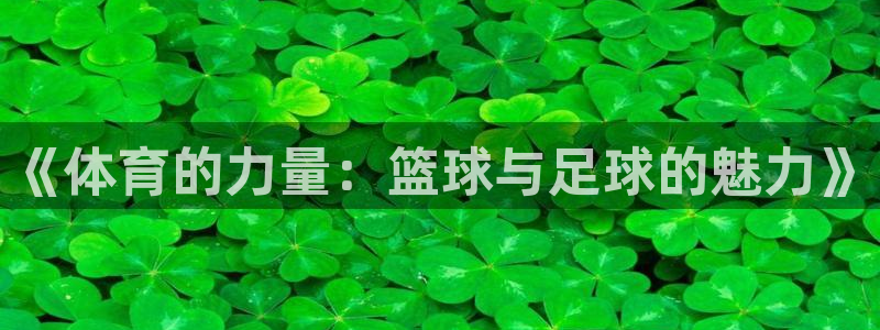 J9官网下载是干嘛的公司：《体育的力量：篮球与足球的魅力》