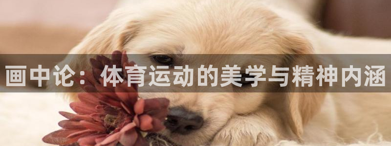 J9官方正版app娱乐网站：画中论：体育运动的美学与