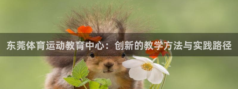 J9官网下载平台假的吗是真的吗吗：东莞体育运动教育中心：创新