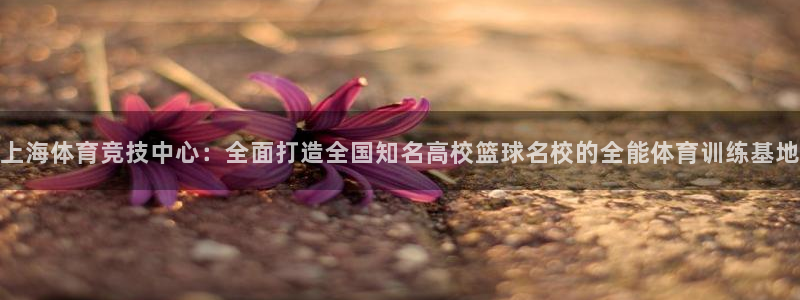 J9官方正版app新能源