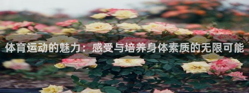 J9官网下载平台注册流程视频：体育运动的魅力：感受与培养身体