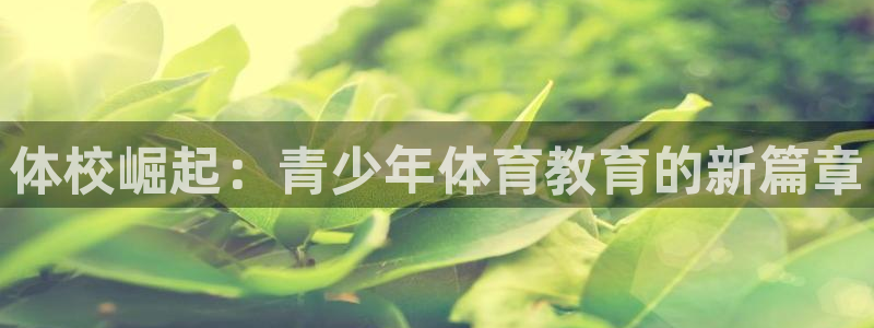 J9官方集团官网：体校崛起：青少年体育教育的新篇章