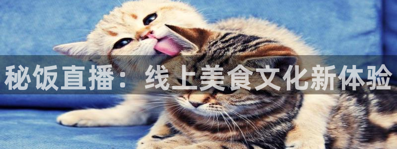 jrkan纬来直播nba：秘饭直播：线上美食文化新体验