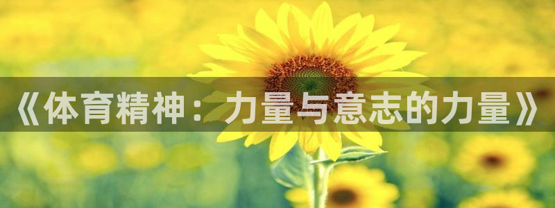 九游app从哪下载