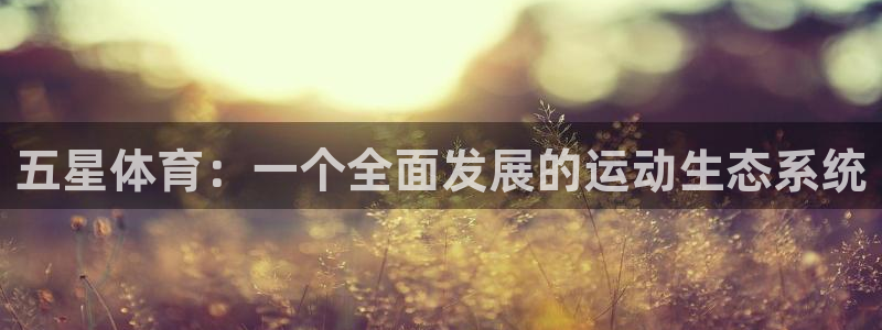 九游官方正版下载苹果版：五星体育：一个全面发展的运动生态系统