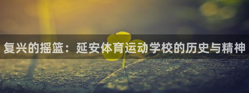 九游如何用账号密码登录：复兴的摇篮：