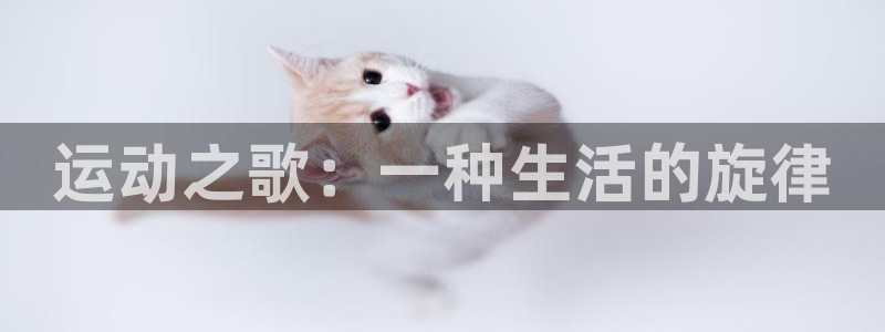 九游OPPO光遇渠道服：运动之歌：一种生活的旋律