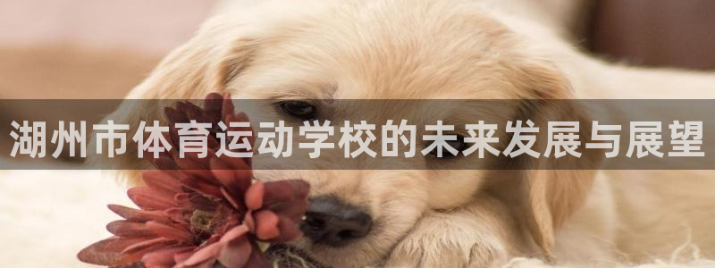  九游网app：湖州市体育运动学校的未来发展与展望
