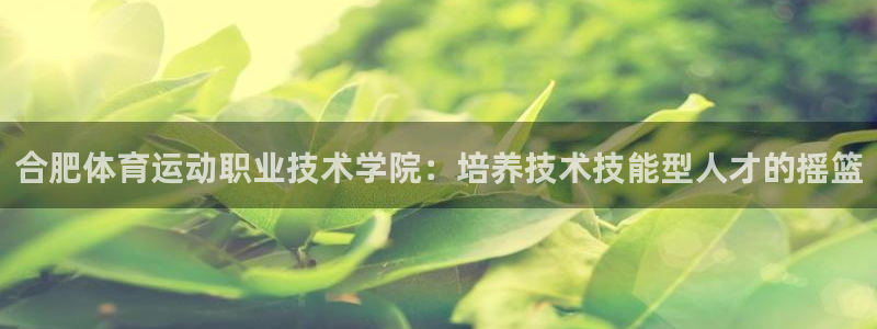  九游app官网下载安装最新版：合肥体育运动职业技术学院：培养