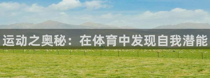 九游用户中心官网：运动之奥秘：在体育中发现自我潜能