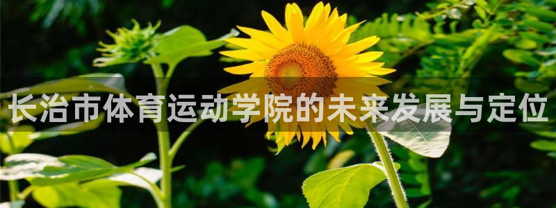 九游app登陆不了：长治市体育运动学院的未来发展与定位