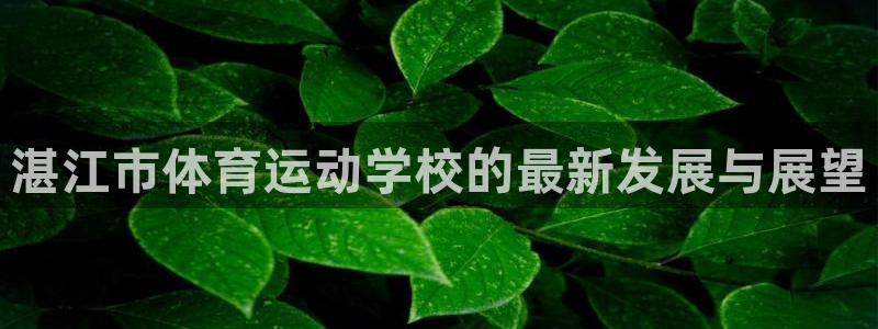  九游网官方网站：湛江市体育运动学校的最新发展与展望