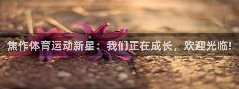 九游会j9网站首页：焦作体育运动新星：我们正在成长，欢迎光临