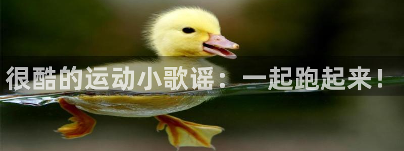 官网九游：很酷的运动小歌谣：一起跑起
