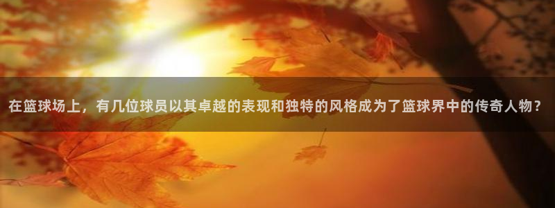  九游官网入口光遇：在篮球场上，有几位球员以其卓越的表现和独特