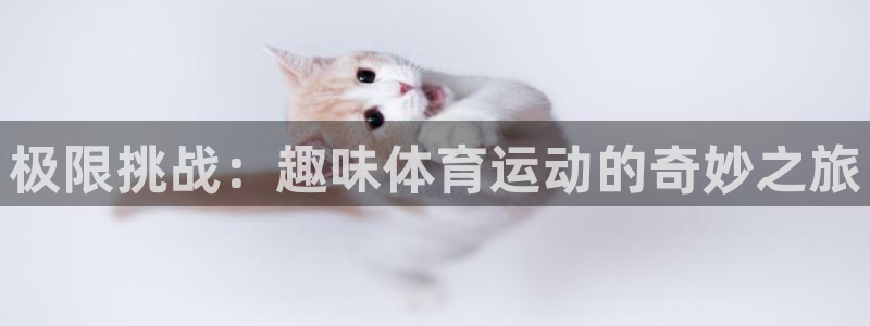  九游服：极限挑战：趣味体育运动的奇妙之旅