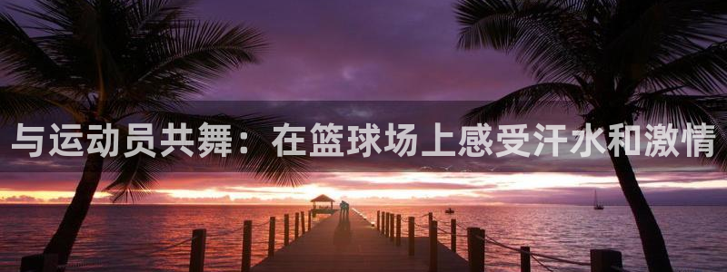  j9俱乐部：与运动员共舞：在篮球场上感受汗水和激情