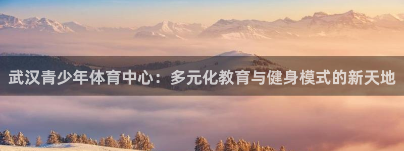 九游偶像梦幻祭：武汉青少年体育中心：多元化教育与健身模式的新
