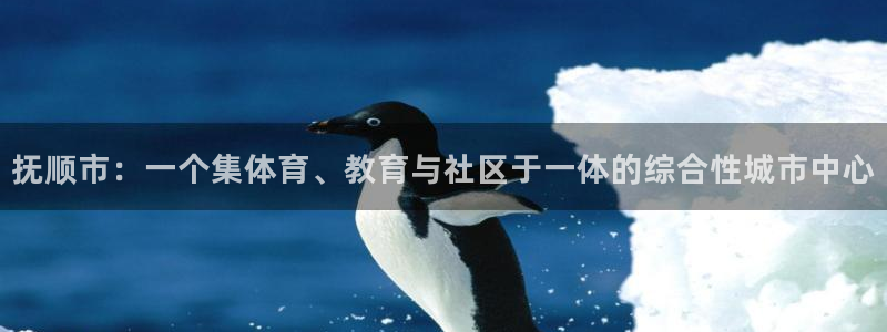 九游app最建议买的三个游戏：抚顺市：一个集体育、教育与社区