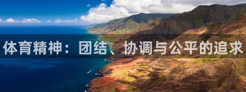 九游加速器永久免费版：体育精神：团结