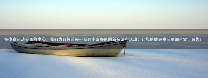 九游游戏中心ios版：在体育运动公园