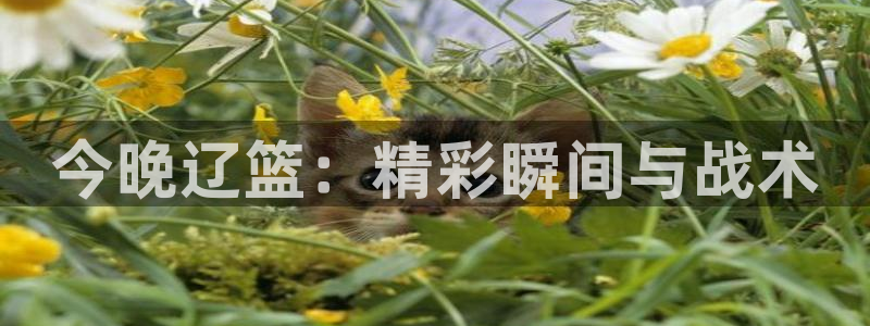 jrkan直播app：今晚辽篮：精彩瞬间与战术