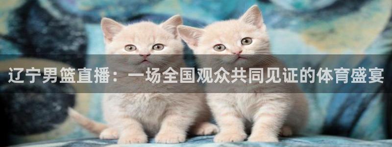 jrkan直播体育网nba：辽宁男篮直播：一场全国观众共同见证的体育盛宴