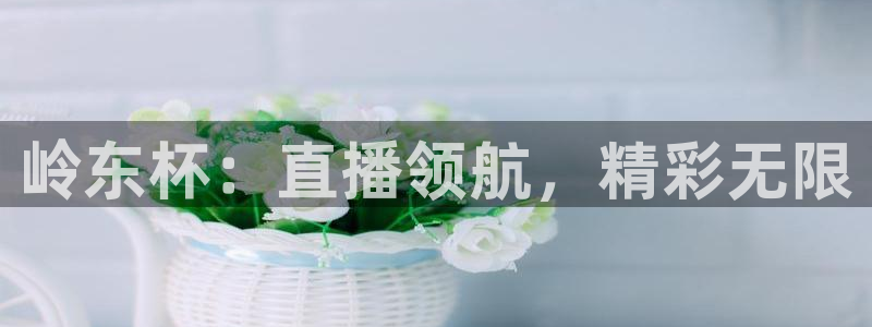 jrkankan直播体育：岭东杯：直播领航，精彩无限